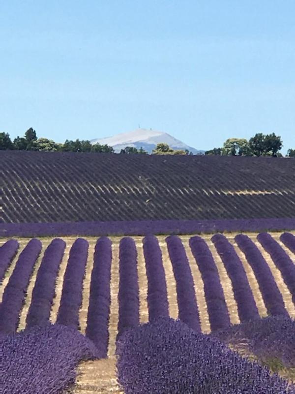 Villa Au Pied Du Ventoux Mormoiron Bagian luar foto